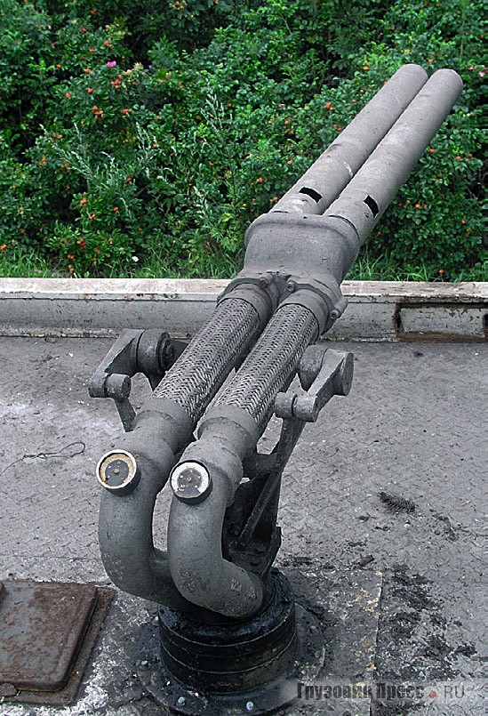 Detail (1).jpg