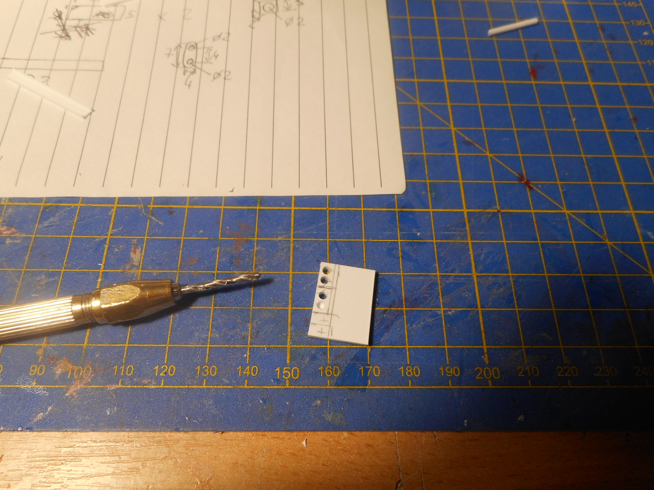 DSCN5176.JPG