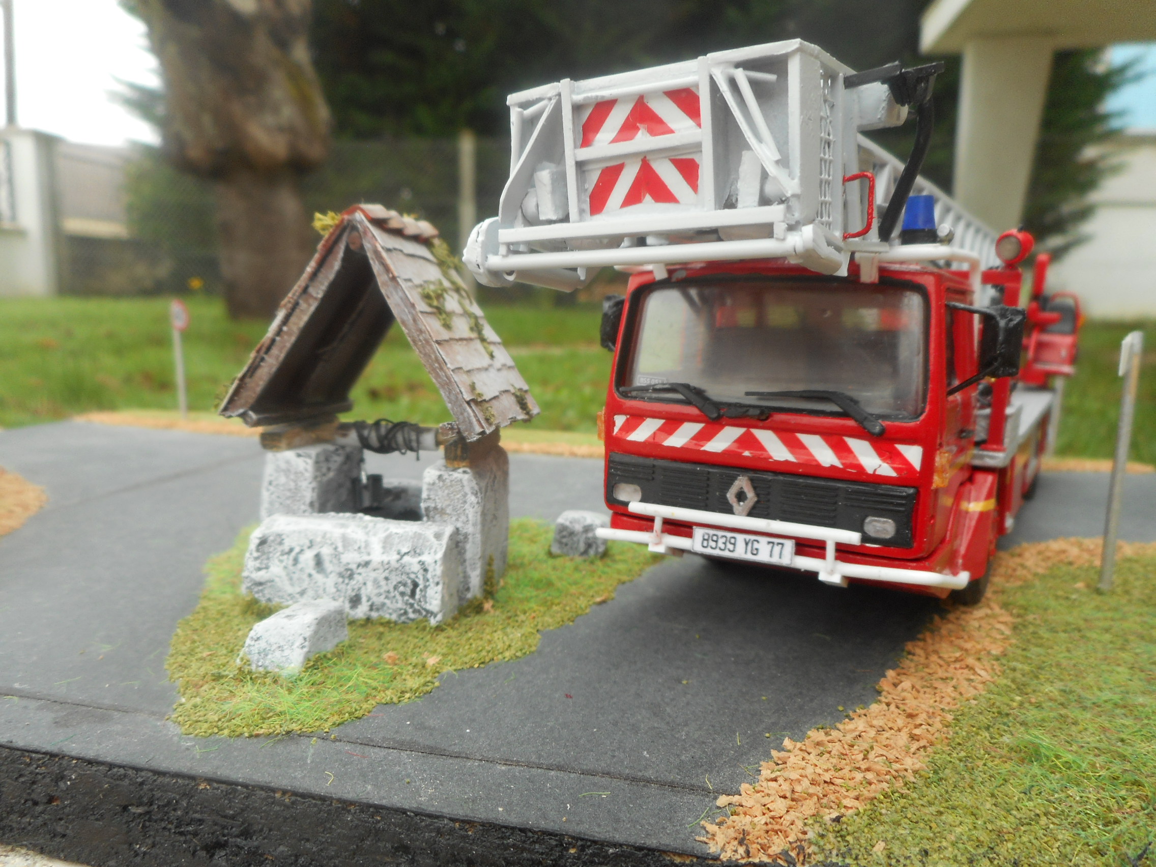 DSCN5231.JPG