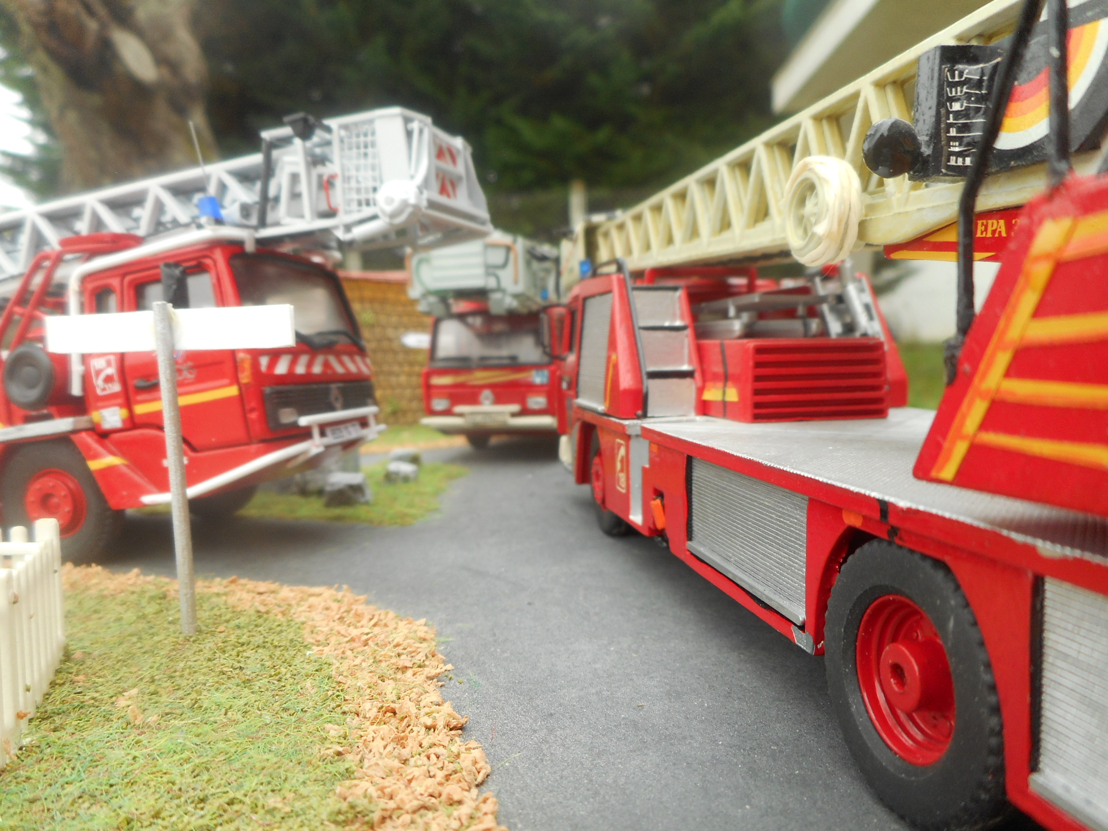 DSCN5229.JPG