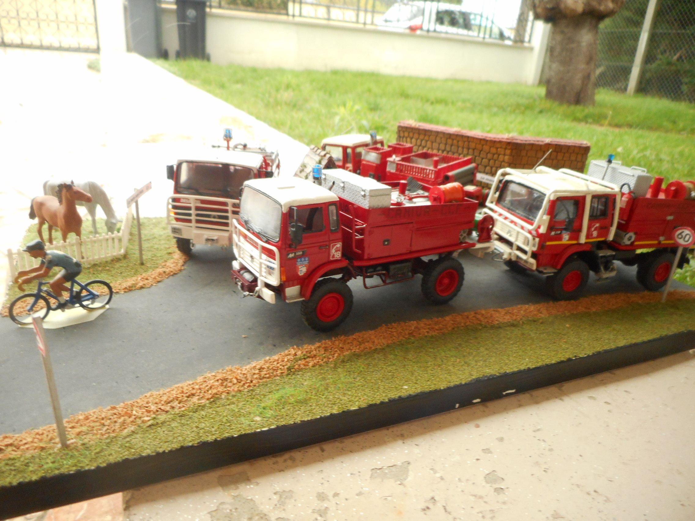DSCN5504.JPG