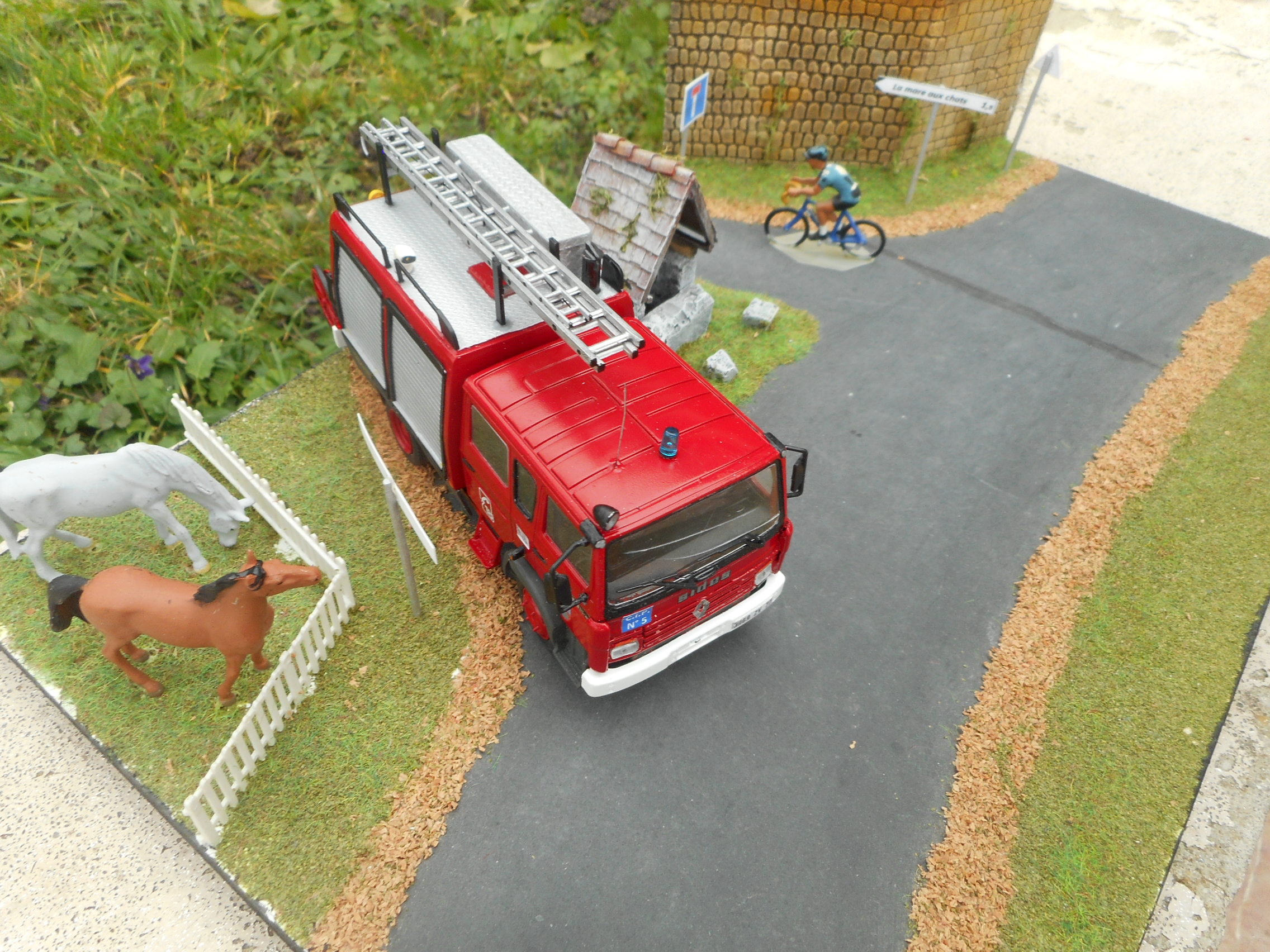 DSCN5623.JPG
