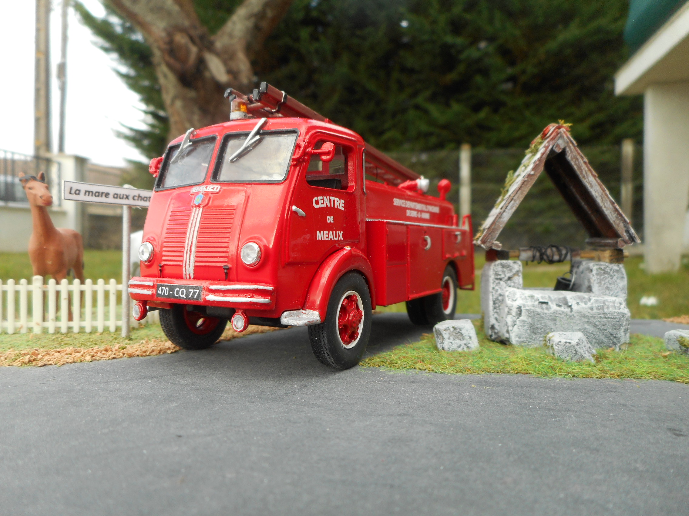 DSCN5731.JPG
