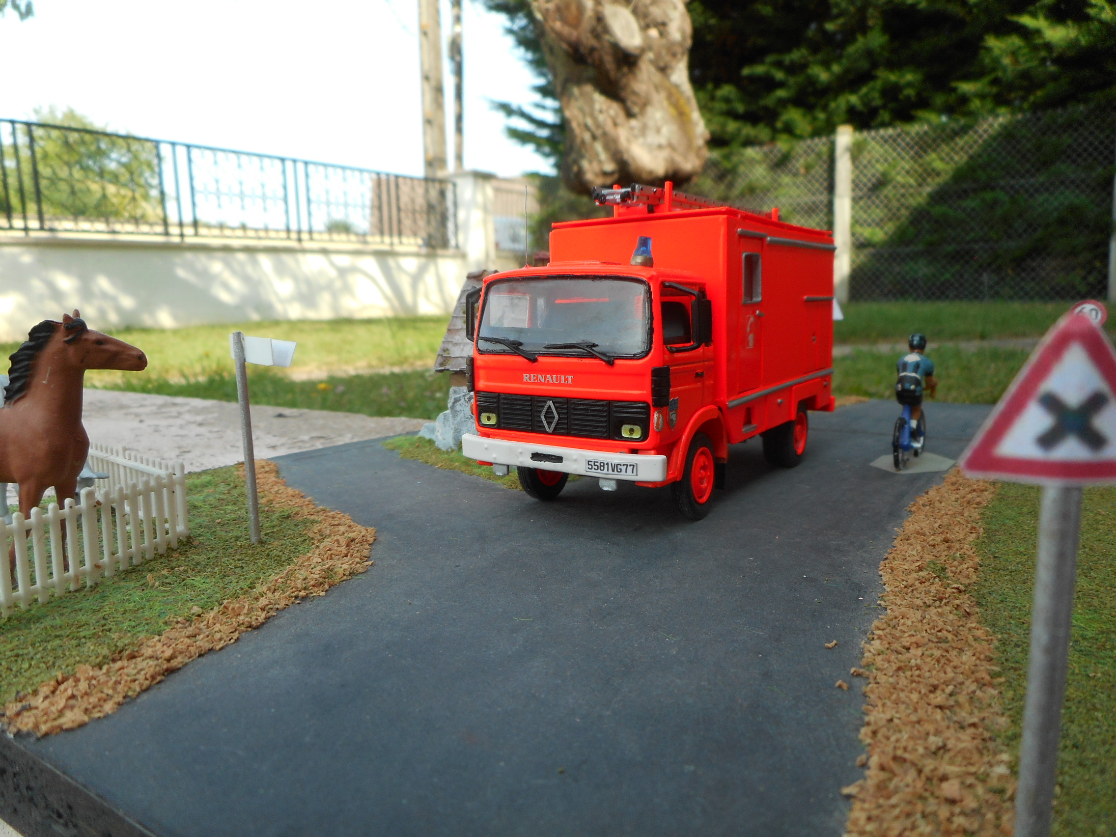 DSCN6533.JPG