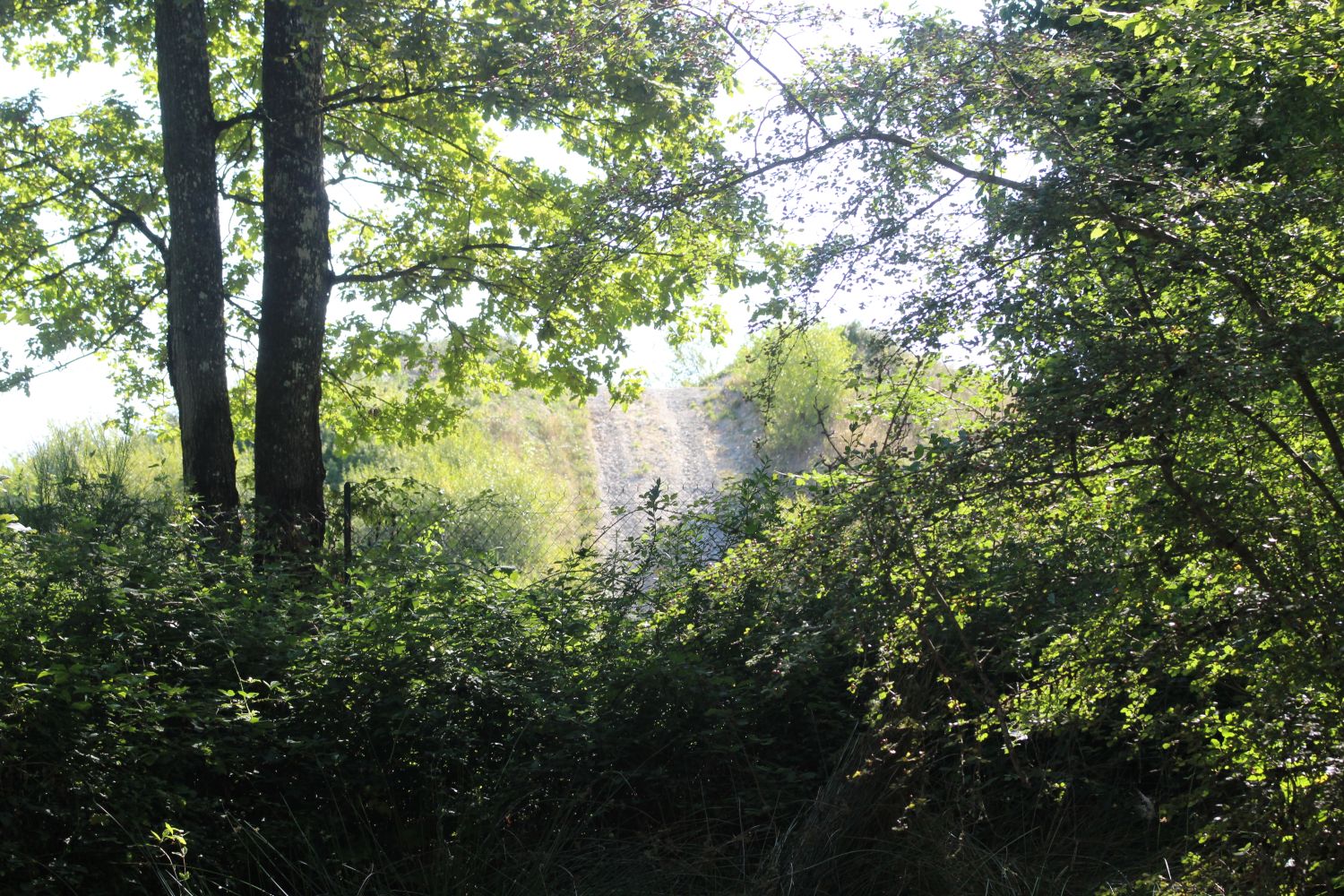 IMG_8955.JPG