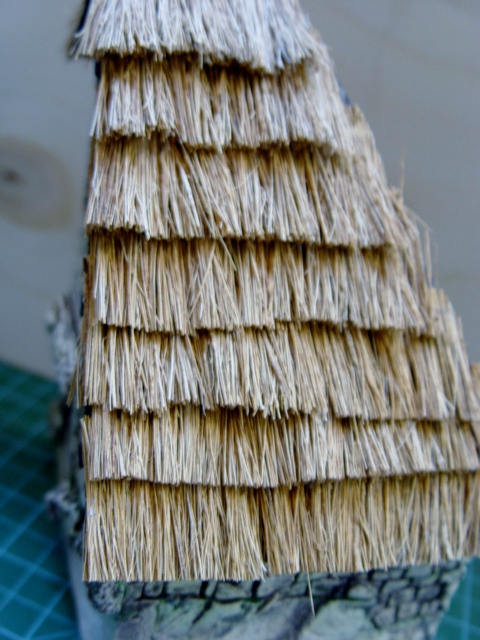 DSC05500.JPG