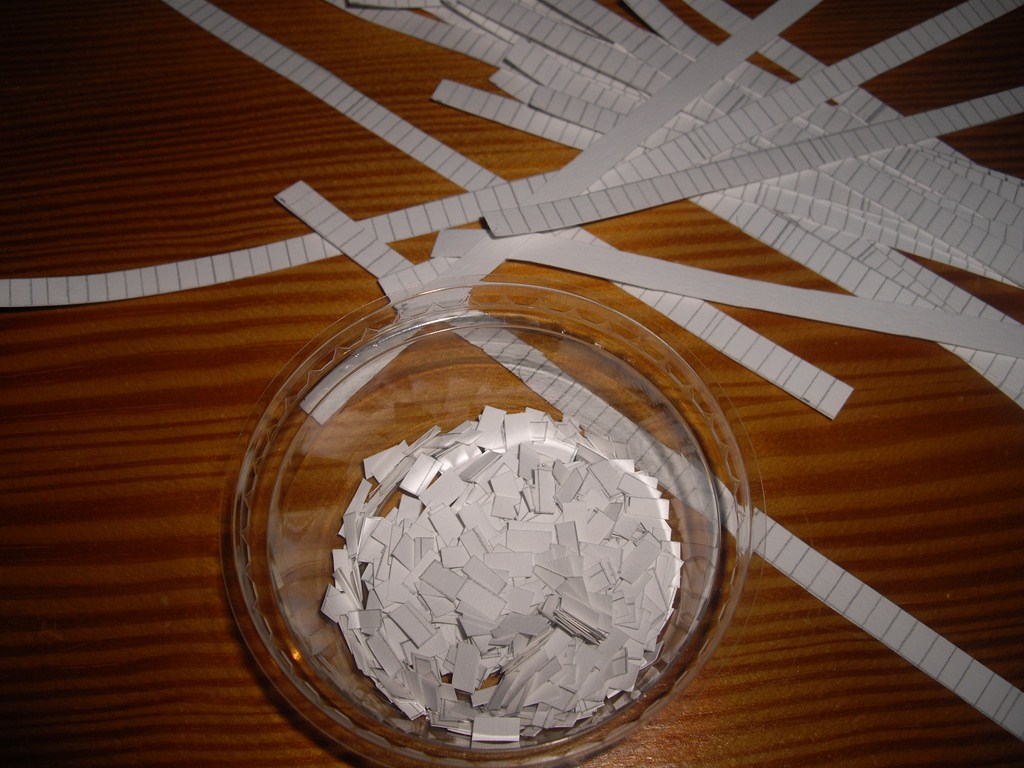 IMGP5063.JPG