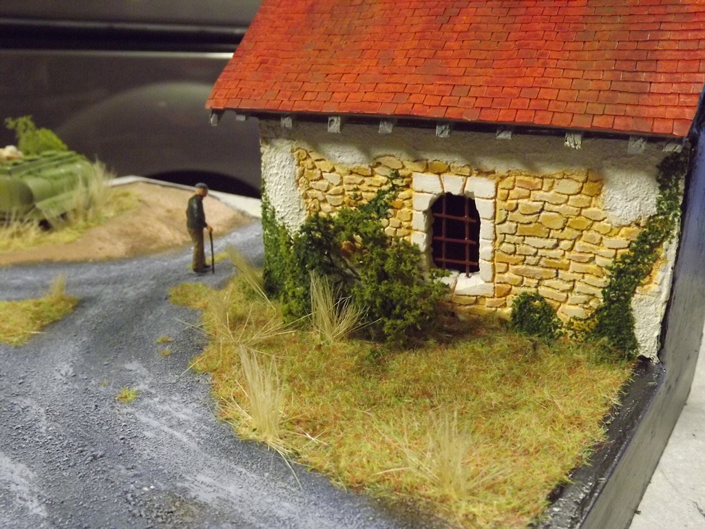 végétations 008.JPG