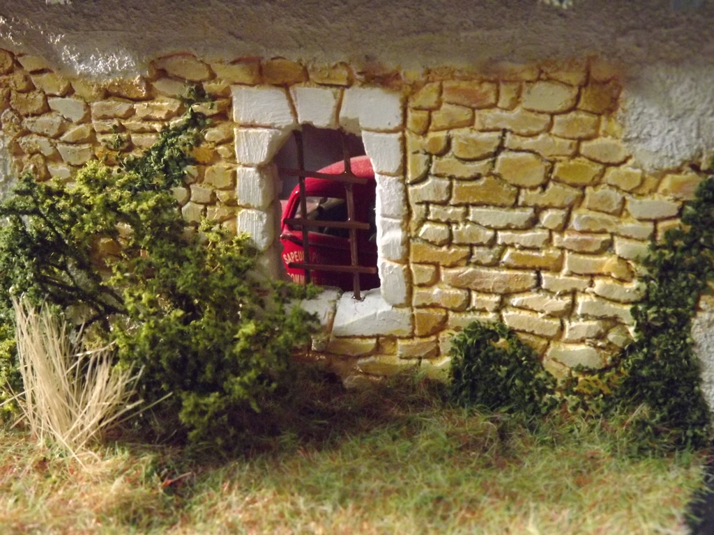 végétations 012.JPG