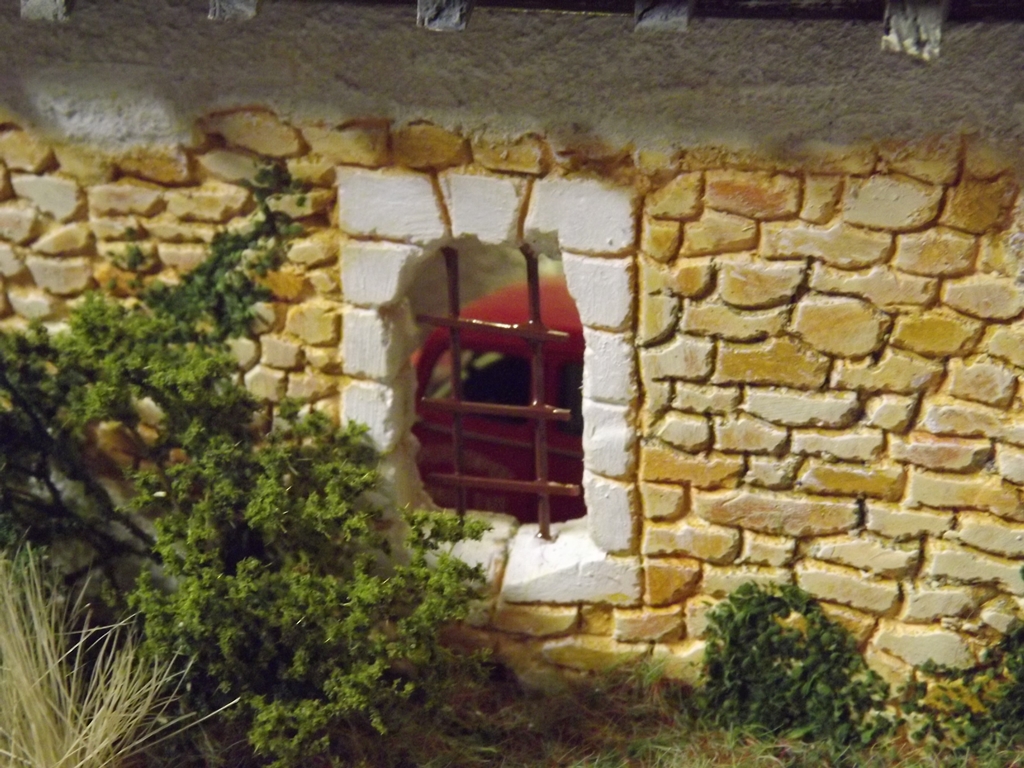 végétations 016.JPG