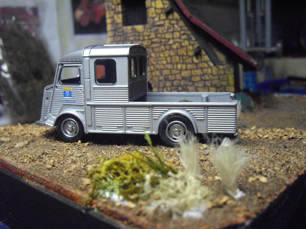 IMGP5229.JPG