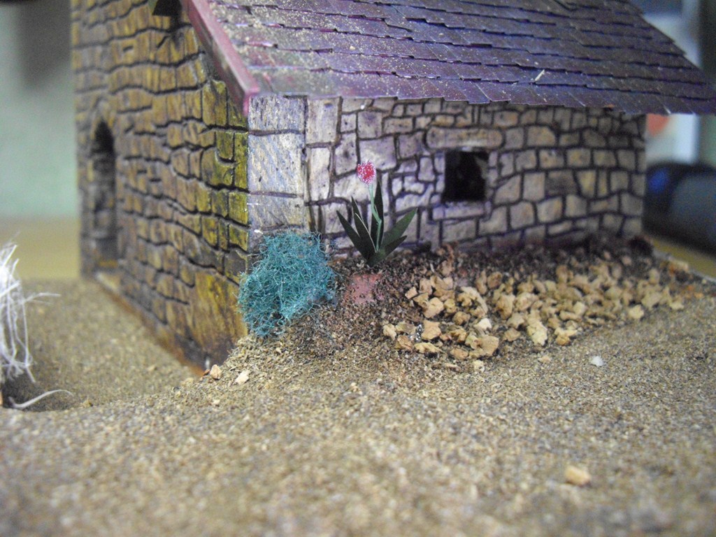 IMGP5232.JPG