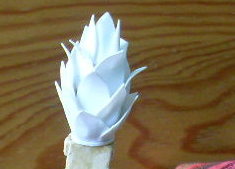 SL370400 - Copie.JPG