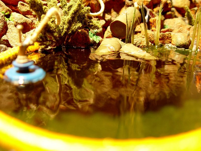 Pollution en bords de Sarre 4.JPG