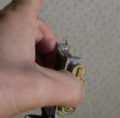 SL370463.JPG