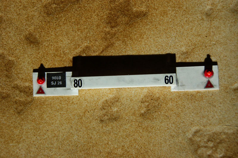 DSC08157.JPG