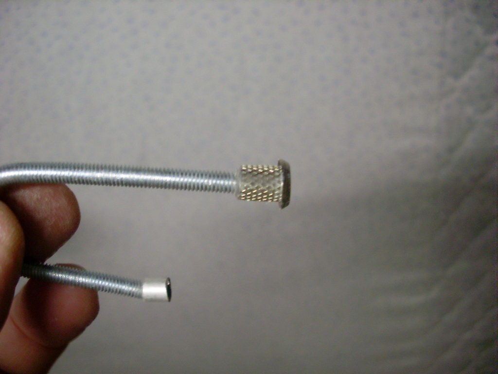 SL370651.JPG