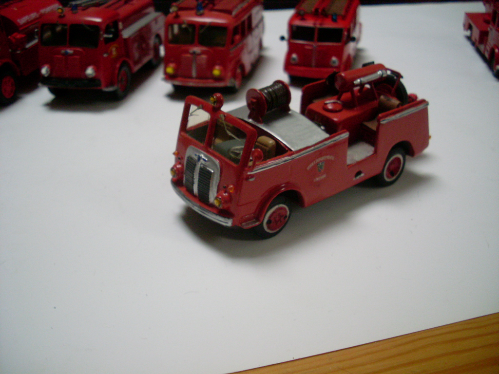 SL370783.JPG
