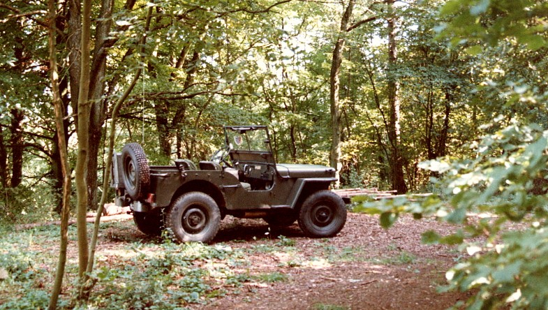 file0013.jpg