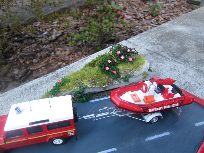 IMG_1409 [800x600].JPG