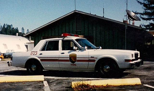 dodge diplomat CDF.jpg