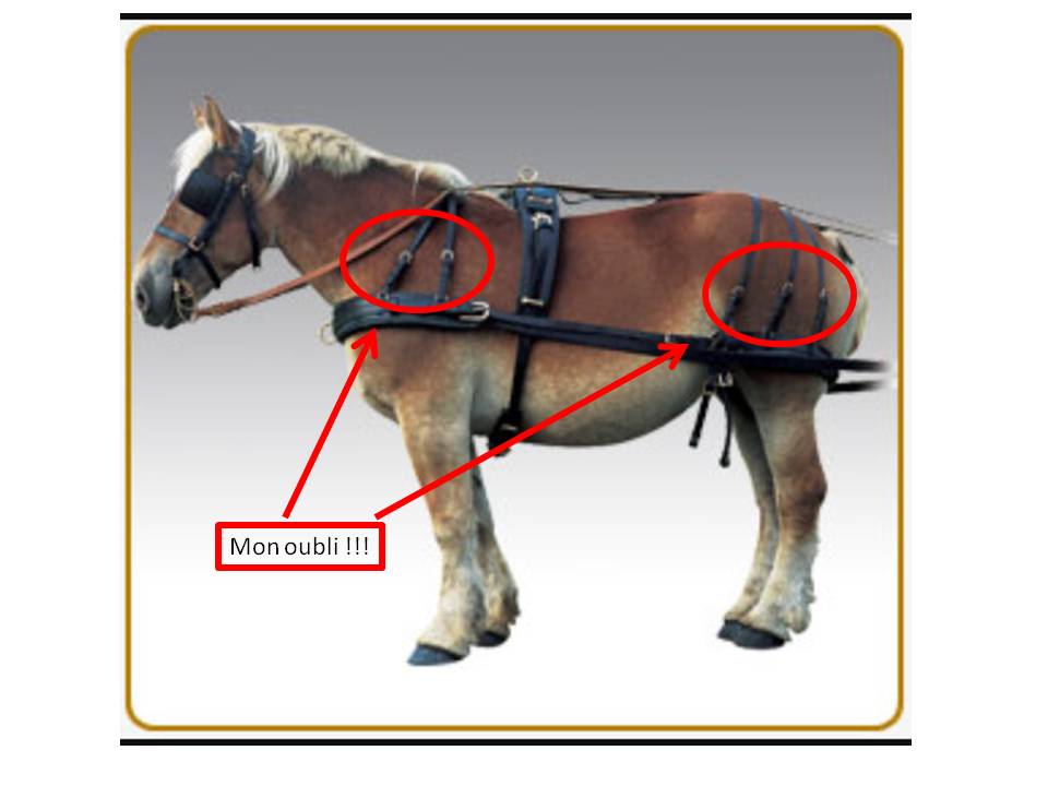 mes oublis.JPG