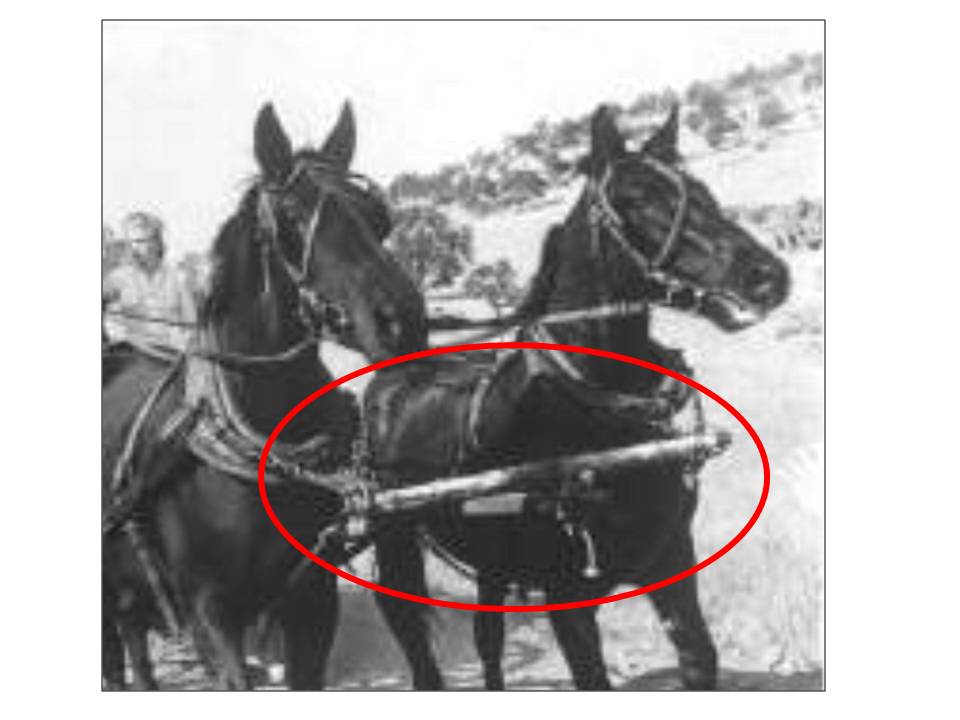 barre de traction avec accroche sur le harnais et timon.JPG