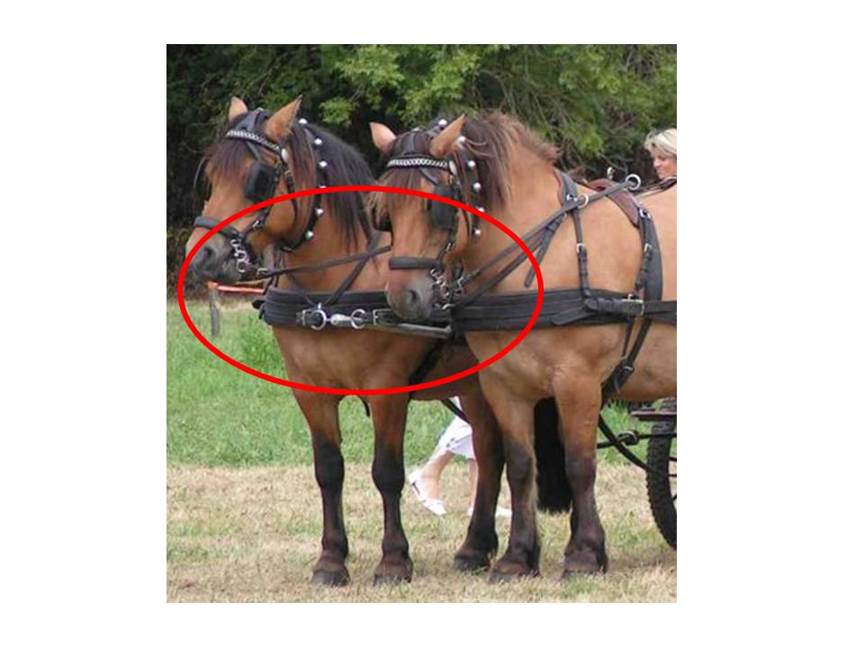 barre de traction avec accorche sur le timon.JPG