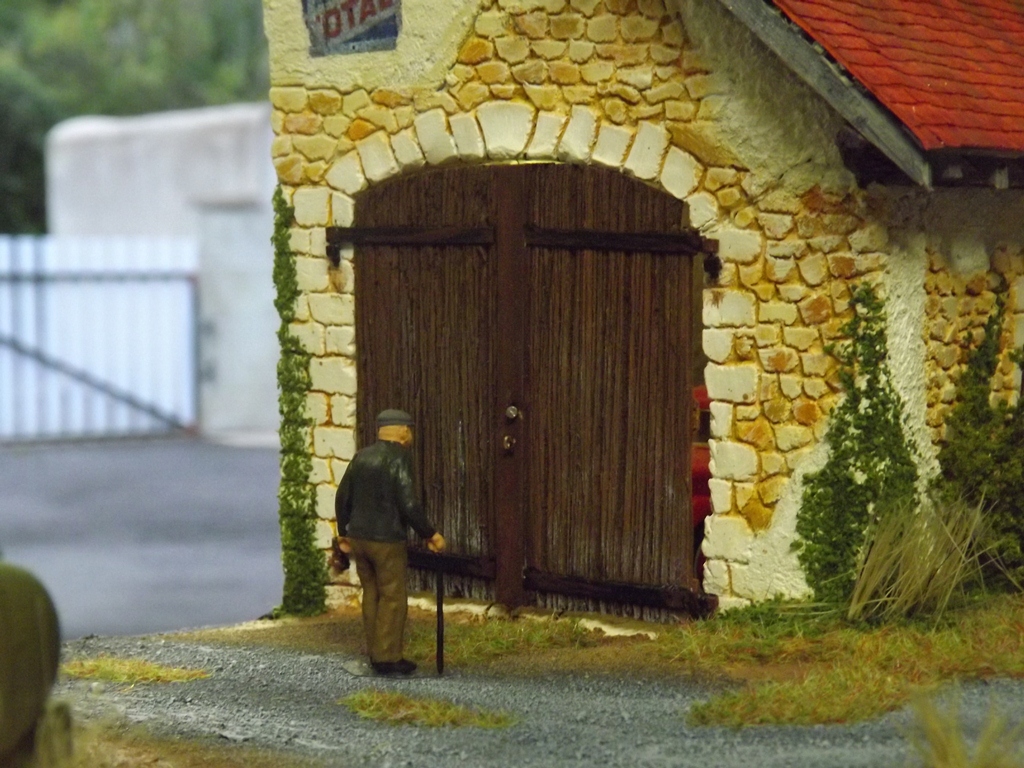 végétations 015.JPG