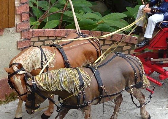 ensemble des renes.jpg