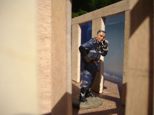 maquette cip d3f le 06.08.09. 003.JPG