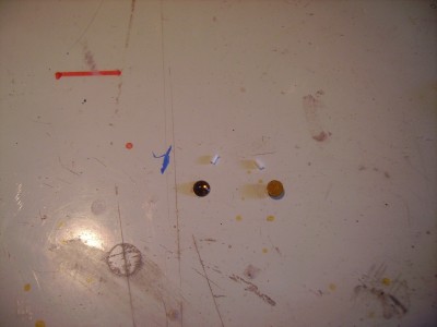 IMGP1245.JPG