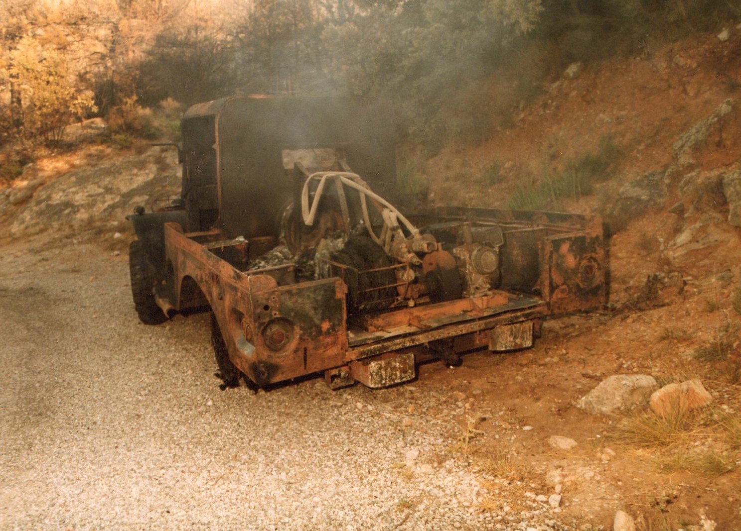 86bb552577.jpg