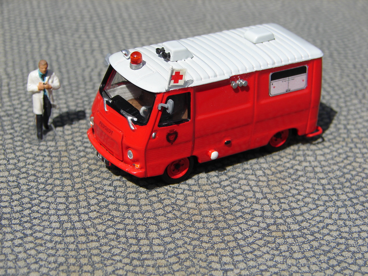 DSC00736.JPG