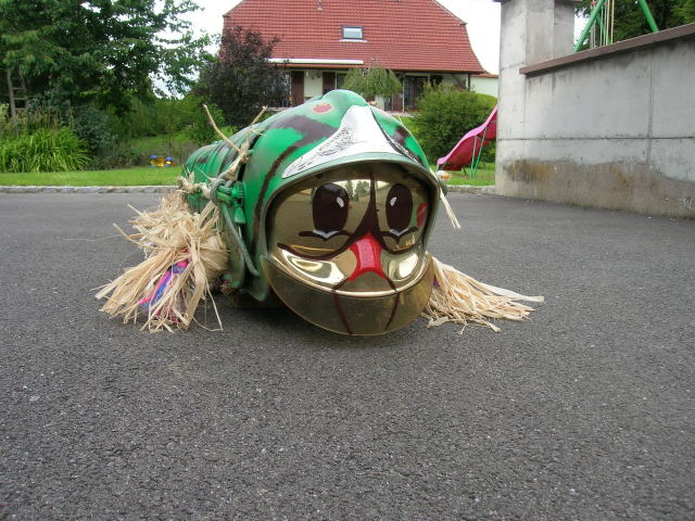 chenille sp 001.JPG