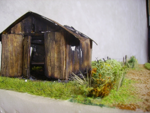 IMGP1385.JPG